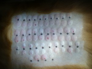 skin test