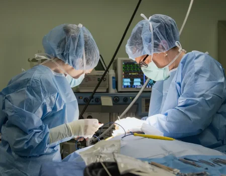 Veterinary surgical team operating in an operating room
