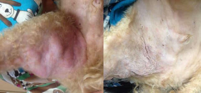 645x300-Before and After Treatment
