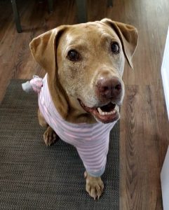 Holly_Baxindine_2