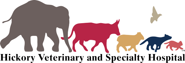 Hickory Veterinary Specialty