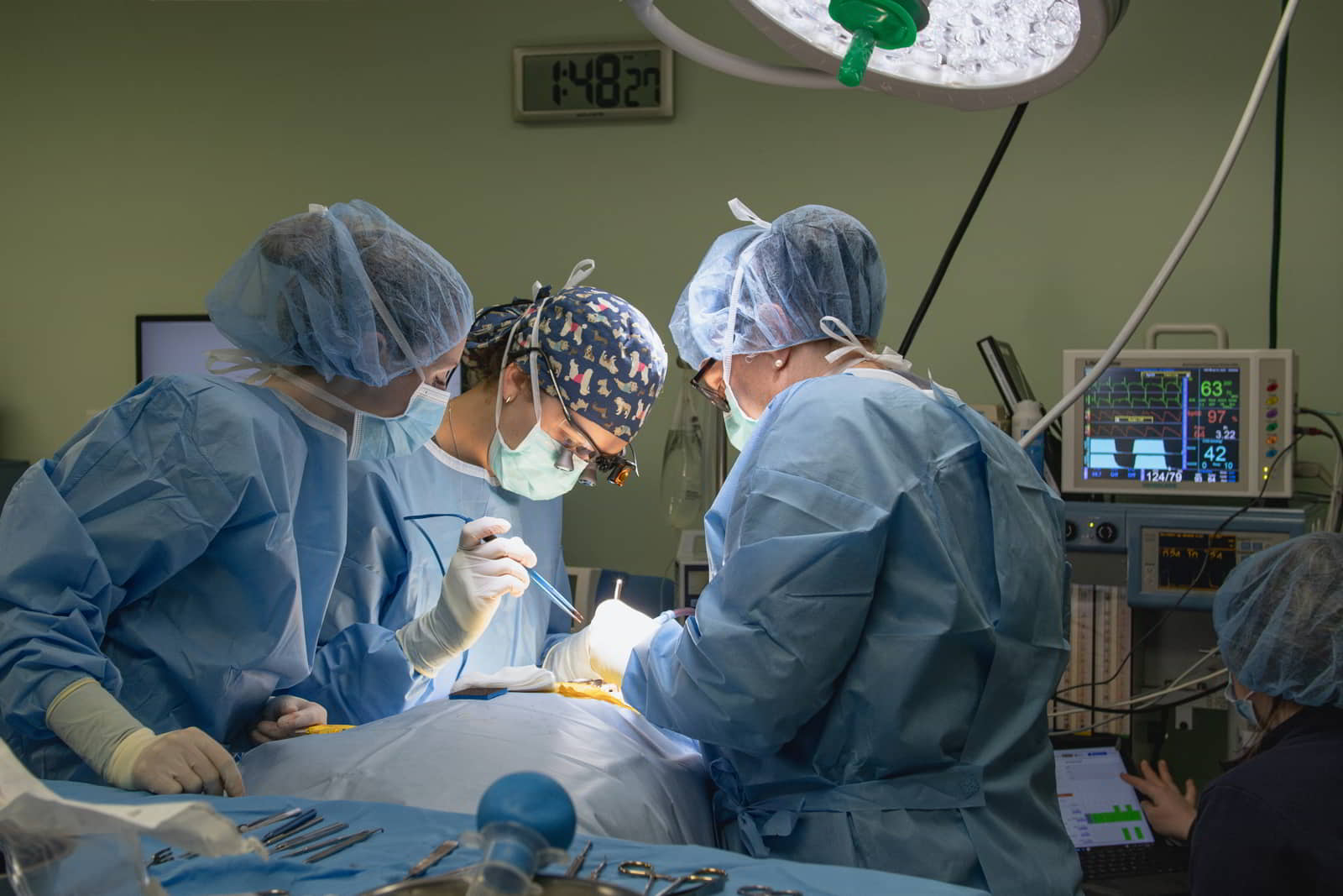 Metropolitan Veterinary Urgent Care and Specialty