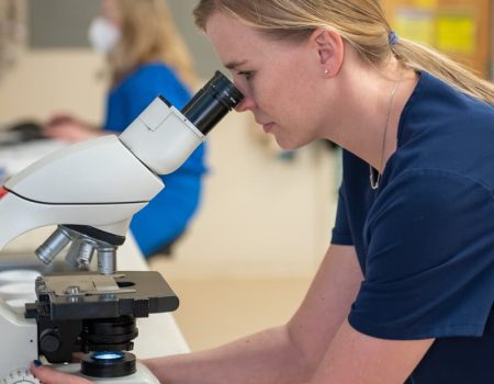 Veterinary technician using a microscope in a lab