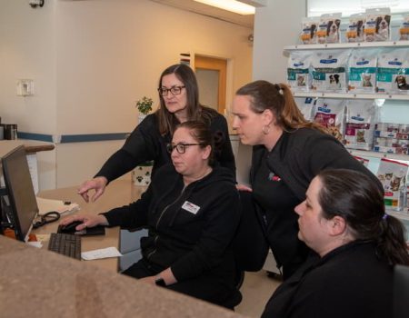 Veterinary staff reviewing patient information on a computer
