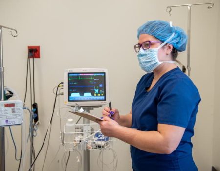 Veterinary technician monitoring medical equipment