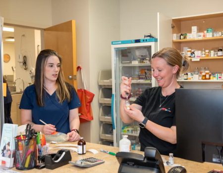 Veterinary staff members preparing equipment in a treatment area