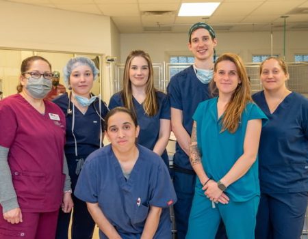 Veterinary staff group photo inside the hospital